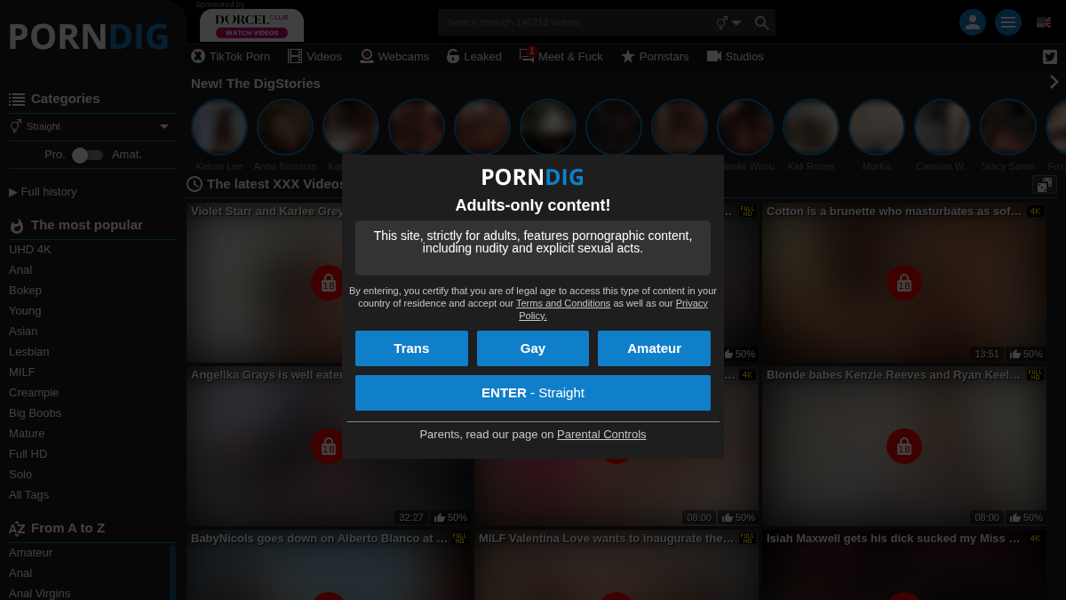 PornDig · Forhåndsvisning af
